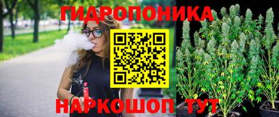 амф Гатчина