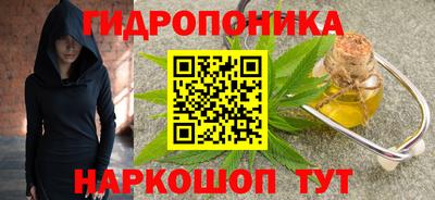 амф Гатчина