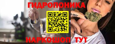 apvp Гай