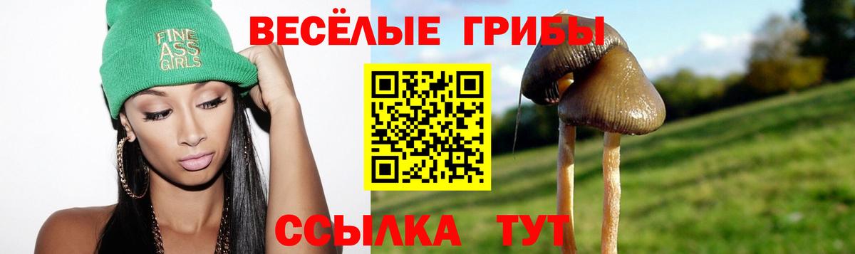Ипатово  Галлюциногенные грибы Magic Shrooms  Вход с VPN 